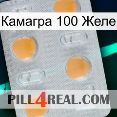 Камагра 100 Желе 24